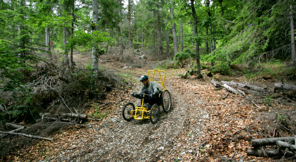 Une PMR descend un chemin de bois dans un FTT en activité adaptée en montagne