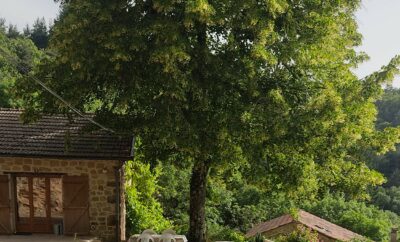 Petit paradis en Ardèche verte, 4 à 6 personnes