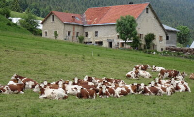 Gite 14 pers Autrans-Méaudre en Vercors