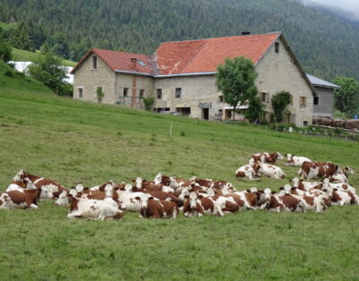 Gite 14 pers Autrans-Méaudre en Vercors